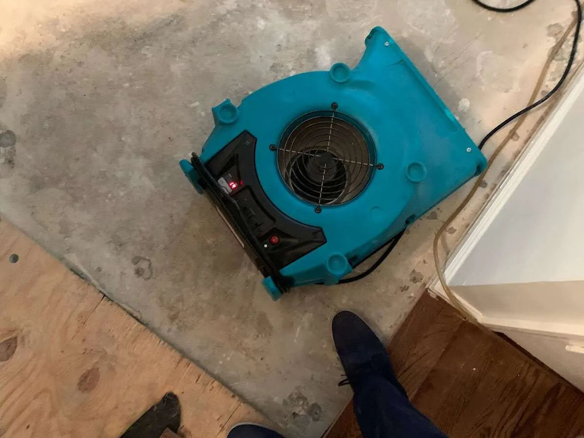 Air mover drying subfloor during Commercial Water Damage Restoration in Brush